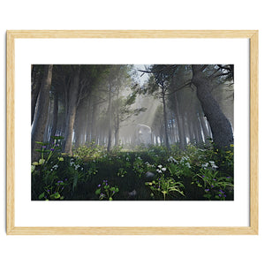 Art In The Forest by greenleaf design