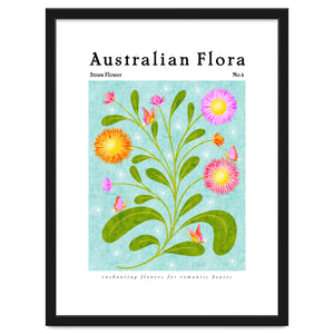 Australian Flora: Straw Flower by Rebecca Flaherty