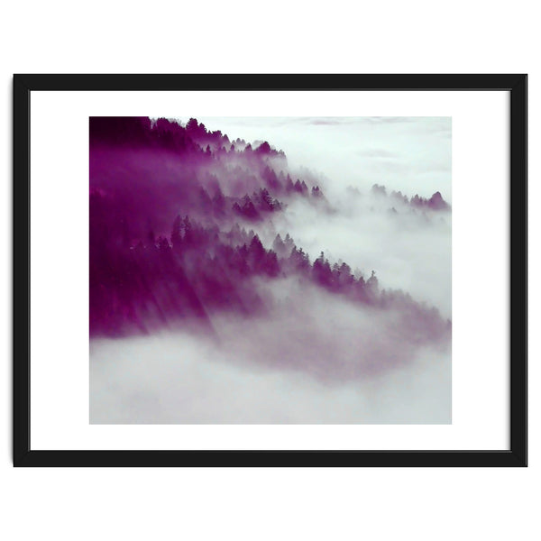 Forest Fog