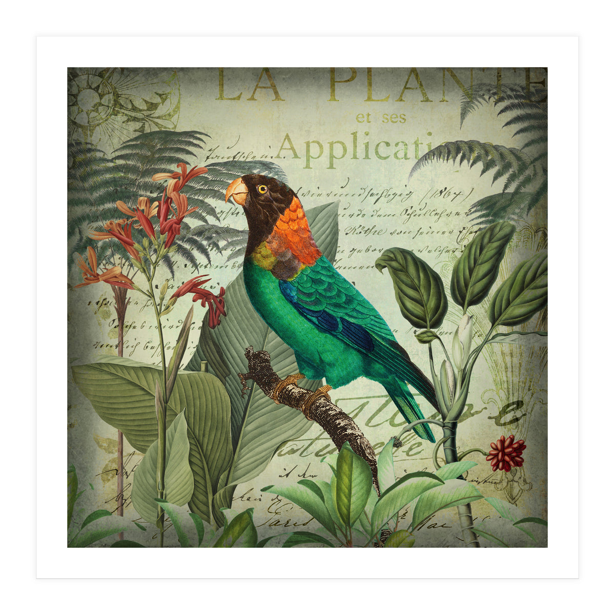 Tropical Bird Nostalgia (Print Only)