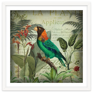 Tropical Bird Nostalgia by Andrea Haase
