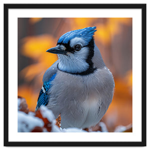 Blue Jay Bird In Winter Snowfall And Leaves by Rizwana Khan