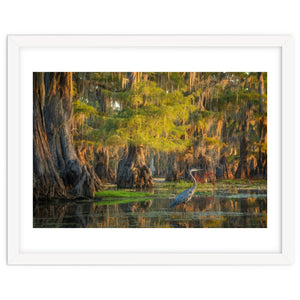Heron in the swamps by Martin and Yen
