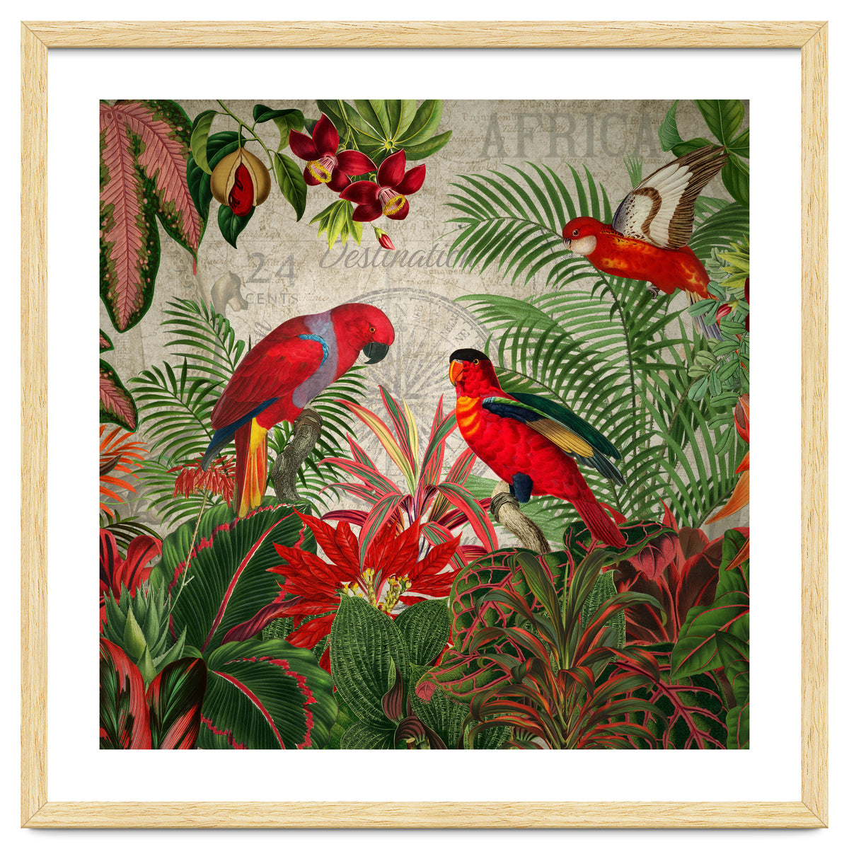 Vintage Rainforest With Tropical Red Parrots