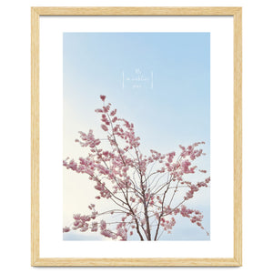 Sakura - cherry blossom by natural neutral