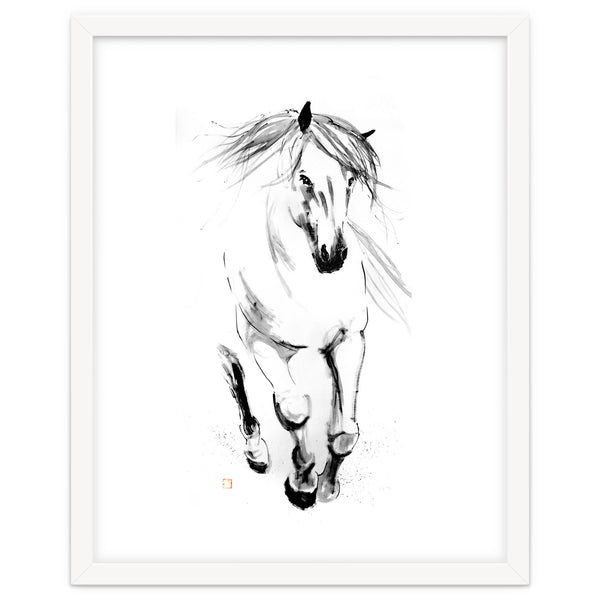 Runninh Ghorse In Water