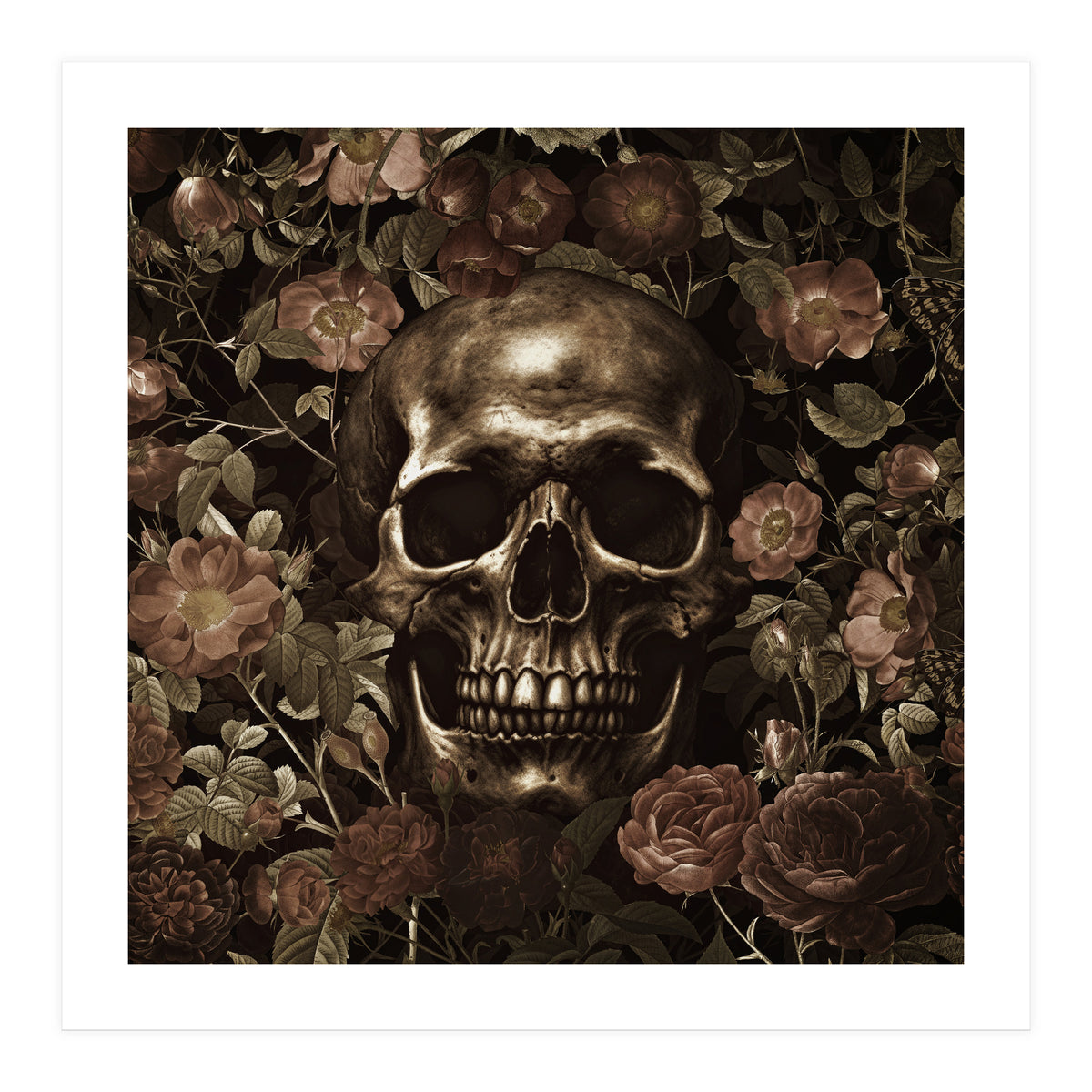 Baroque Skull And Roses Night Garden (Print Only)