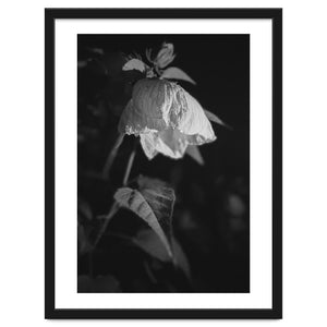 Camila | Black & White by Laurenrfphoto