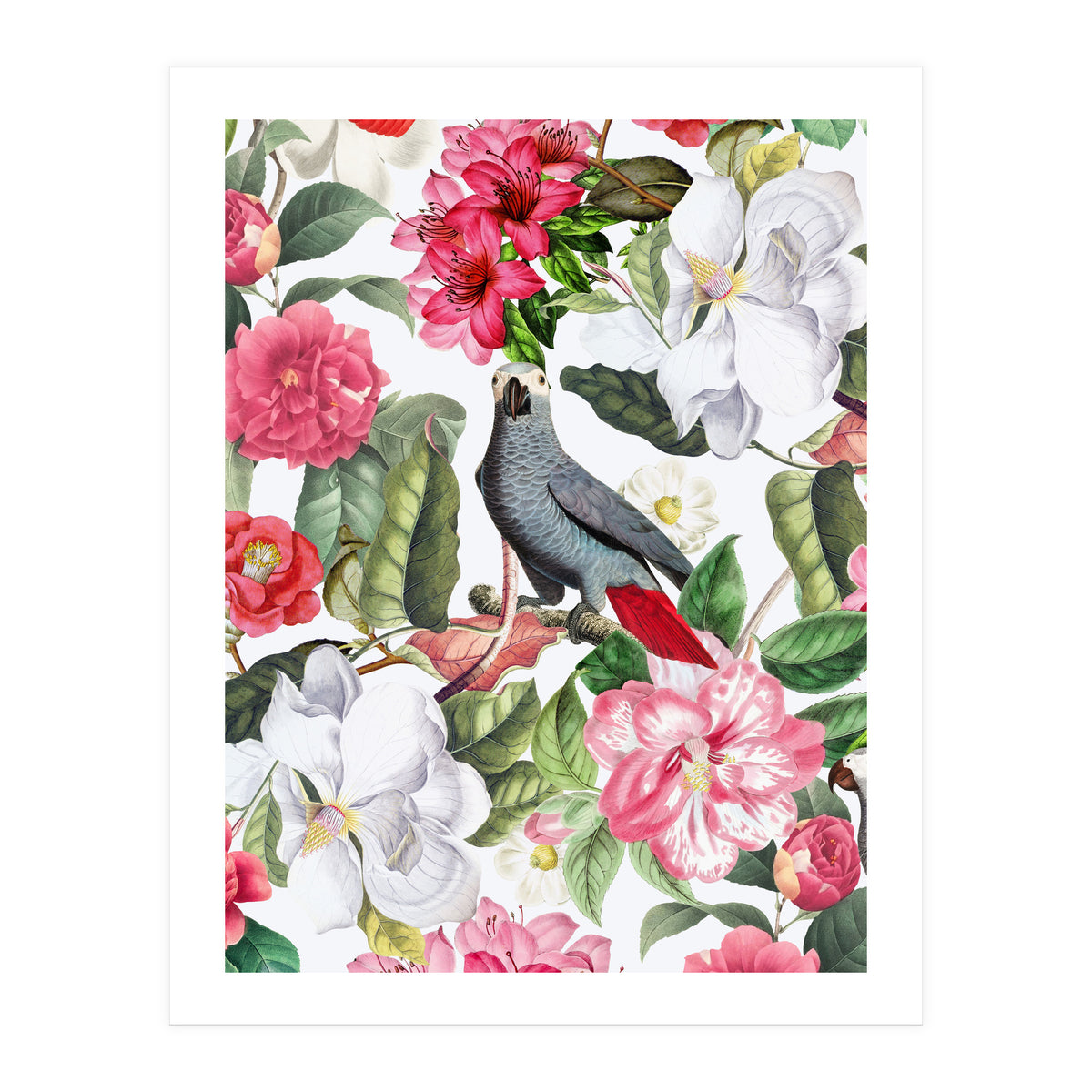 Vintage Cockatoo in Flower Jungle (Print Only)