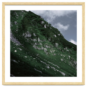 SKIN OF NATURE - WILD CLIFF by KISSA STUDIO