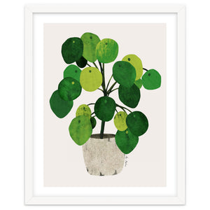 Pilea Plant by El buen limón