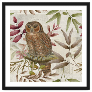 Autumn Owl by Andrea Haase
