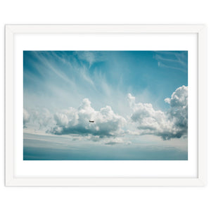 Airborne by Debra Cox