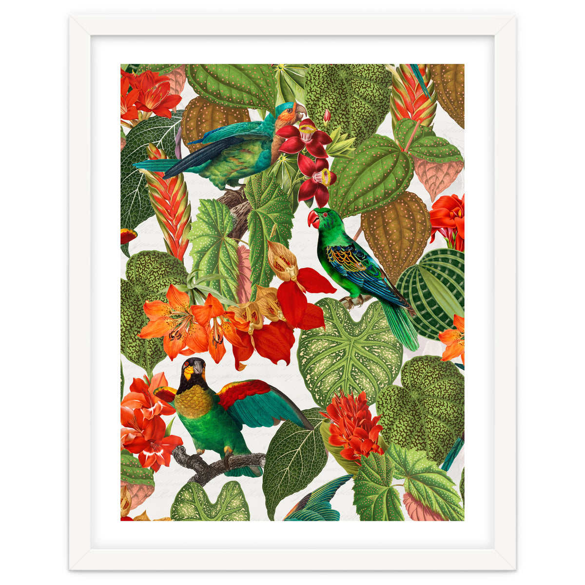 Tropical Parrots In Flower Jungle