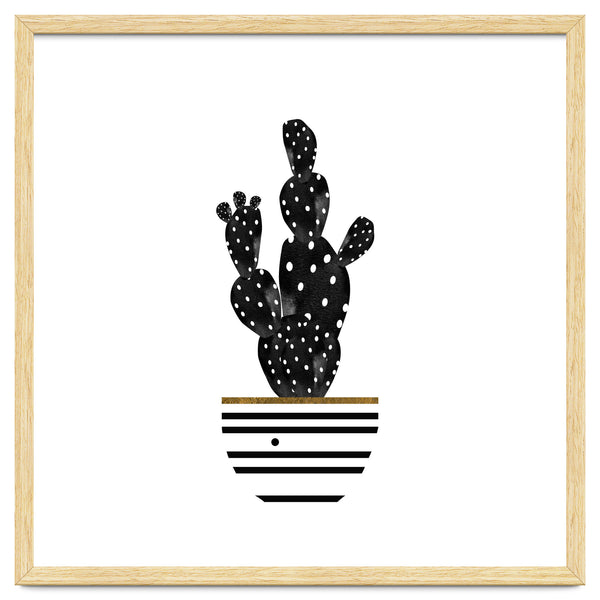 Black Cactus