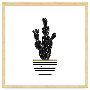 Black Cactus by Amaya