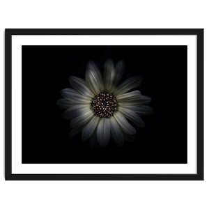 Backyard Flowers No 27 Color Version by The Learning Curve Photography