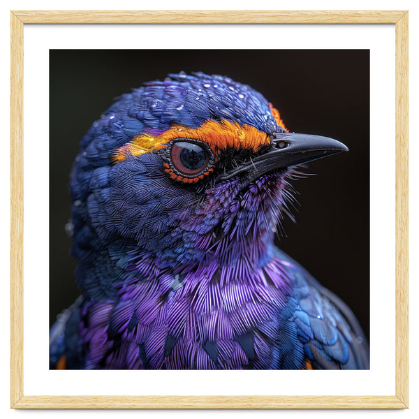 Close Up Portrait Of A Vibrant Exotic Bird