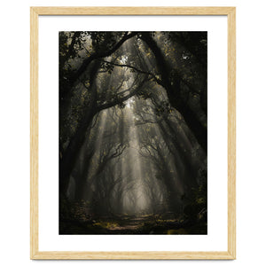 Enchanted Canopy: Mystical Forest Path by artistic