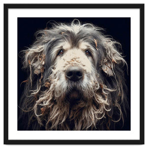 Old Dog 010 by Fernando Vieira