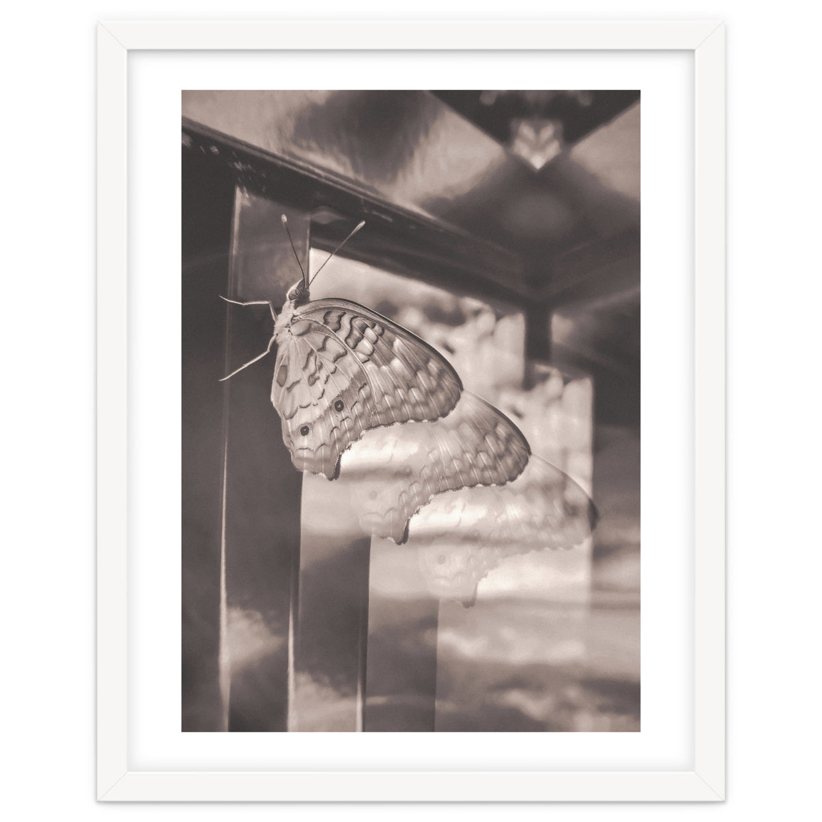 Evolving | Sepia
