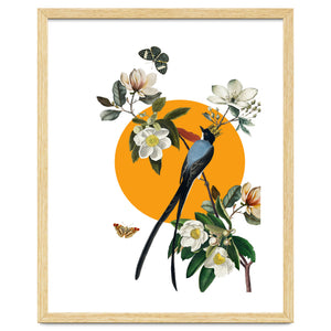 collage floral birds by edsonramosart