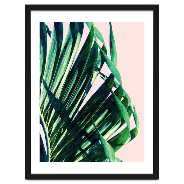 Palm V2