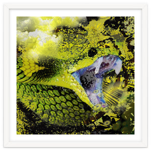 Green Viper Reptile by Wild Style