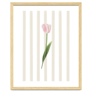 Single Tulip by Lisen Vennesland