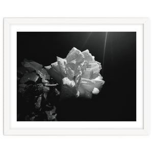 Desire by Laurenrfphoto