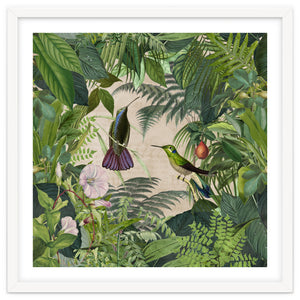 Tropical Hummingbird Jungle by Andrea Haase