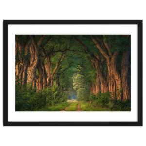 Soft morning light by Martin and Yen
