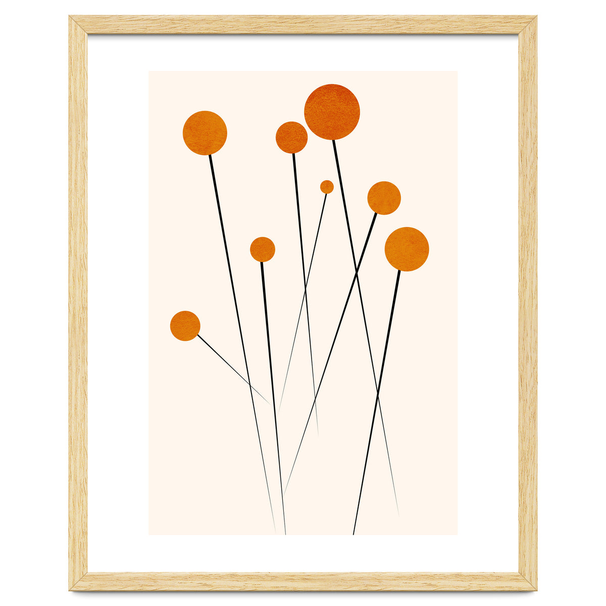 Dreaming Daisies