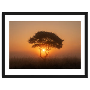 Tree at sunrise by Martin and Yen