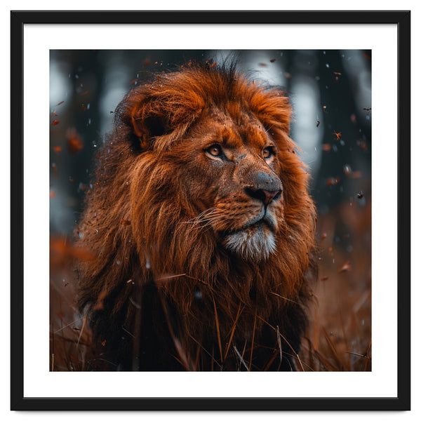 Majestic Lion King Of The Jungle Close Up Portrait