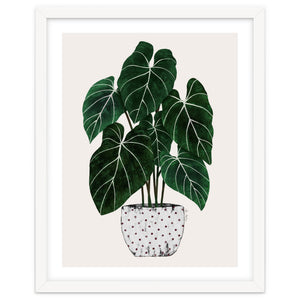 Philodendron Plant by El buen limón