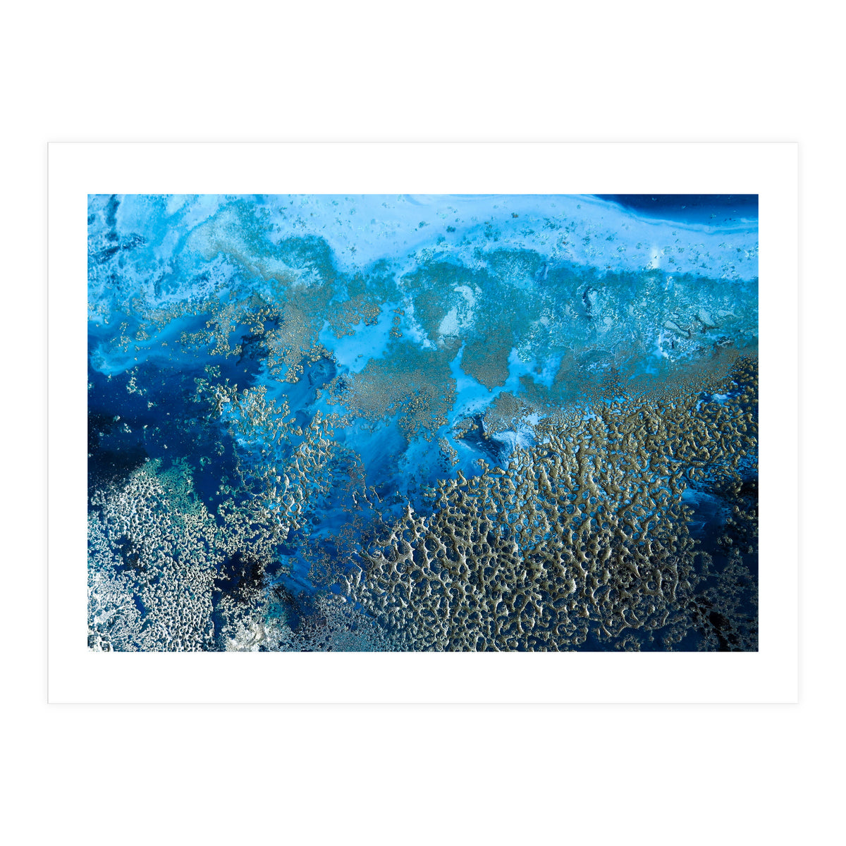 Revitalize (Print Only)
