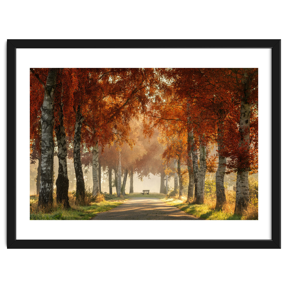 Red autumn