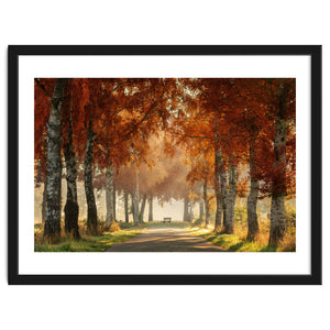 Red autumn by Martin and Yen