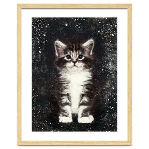 Bicolor Cute Kitten Portrait by berwies