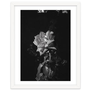 Romantic | Black & White by Laurenrfphoto
