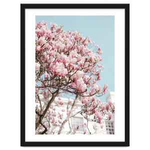 Spring Time by Debra Cox