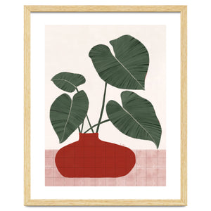 Philodendron Gloriosum plant by El buen limón