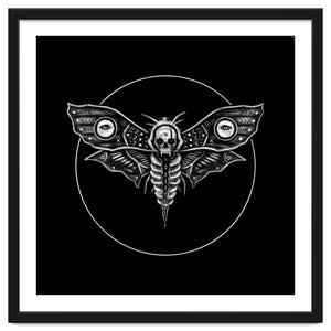 Deaths Head Moth by Justin Gedak