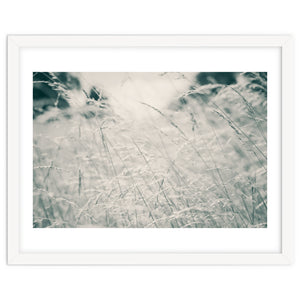 Walking Through Long Grass by Debra Cox