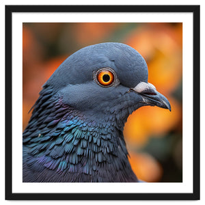 Close Up Of A Pigeon's Head And Neck by Rizwana Khan
