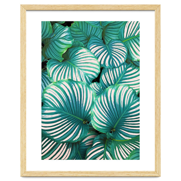 Intemporel #society6 #decor #buyart