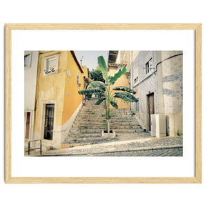 Lisbon Palm Tree by KISSA STUDIO
