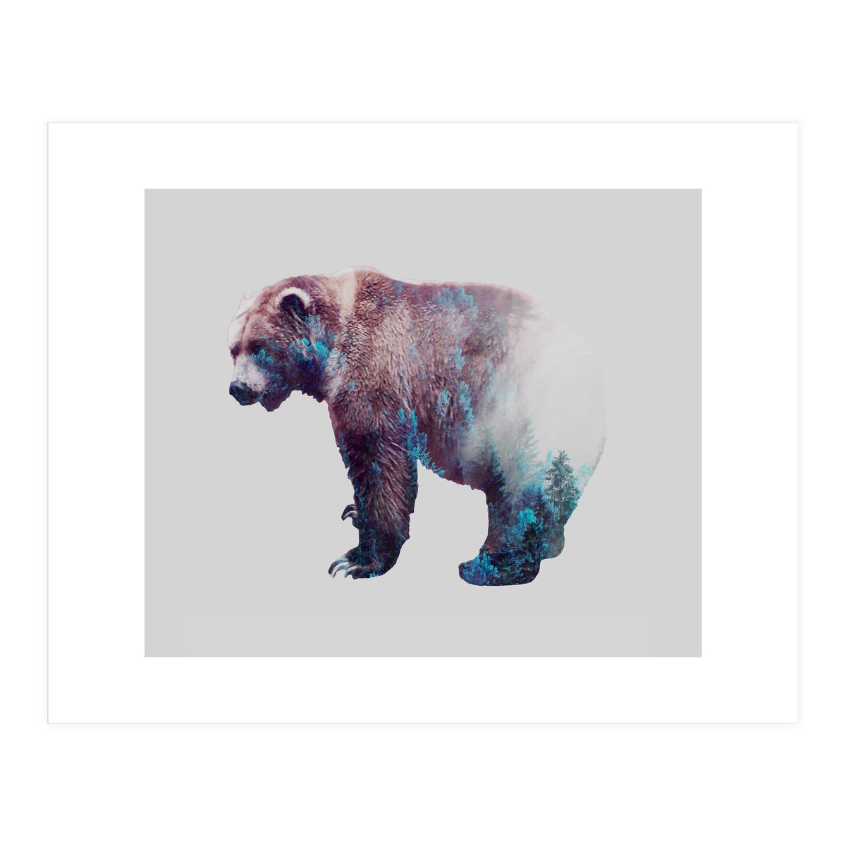 Repressed Transformation (Print Only)