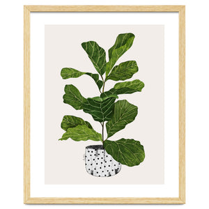 Fiddle Leaf Fig Tree Plant by El buen limón